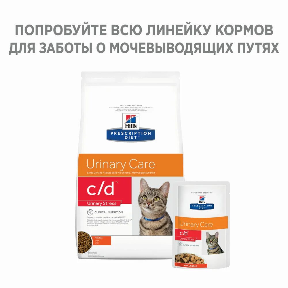 Почечный корм для кошек влажный. Hill's Prescription Diet c/d Urinary stress. Hills корм для кошек Urinary Care. Хиллс с/d для кошек Уринари. Хиллс Уринари s/d для кошек.