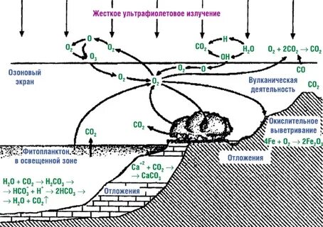 Кислород в окружающей среде