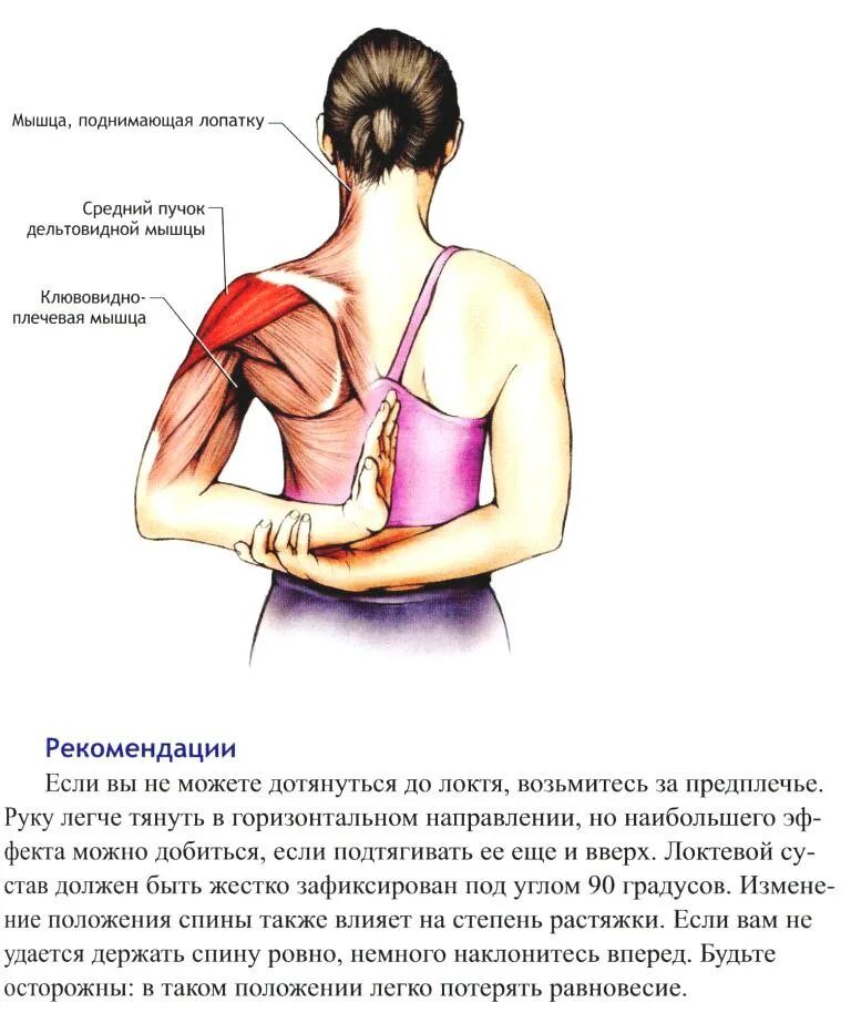 Боль в руке при поднятии и отведении. Растяжка мышц плечевого сустава. Мышца поднимающая лопатку упражнения. Упражнения для растяжки мышц плечевого пояса. Мышцы поднимающие руку.