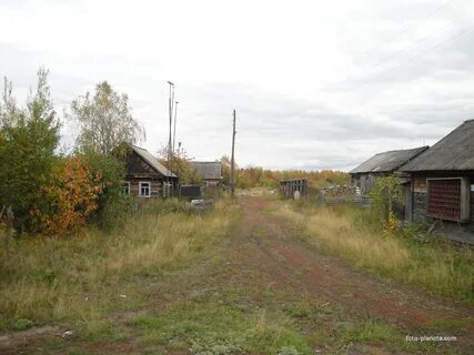 Погода в захаровке