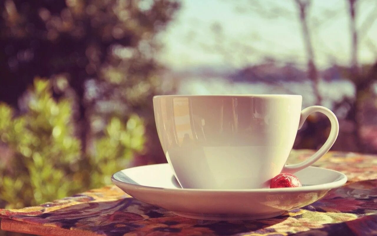 Early morning cup. Оруэлл чай. Early morning cup. Утро солнце чашка кофе. Солнечное утро и кофе.