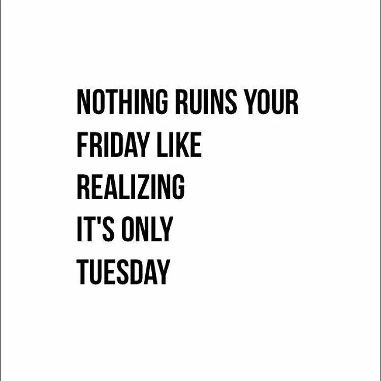 It really do be like that. Funny quotes about Friday. Сарказм Минимализм животные. Happy Tuesday картинки. For your Friday funnies.