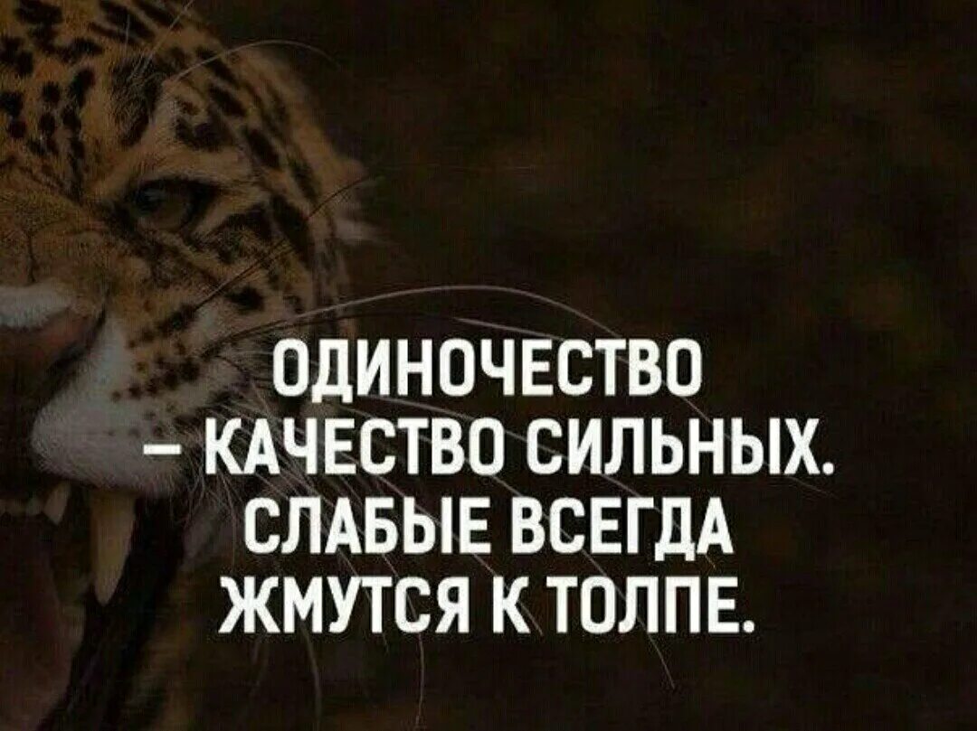 Закон слабого и сильного. Сильные цитаты. Цитаты про сильных людей. Сильные афоризмы. Одиночество качество сильных слабые.