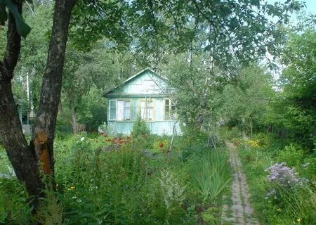 Дачи купавны