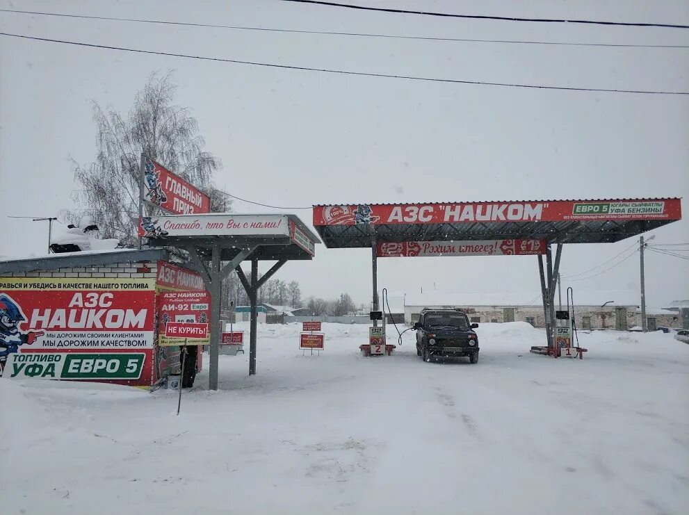 рыбное большая 8а. азс наиком кружка. рыбная 22. берш судак наживка. рыбная 22.