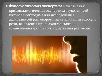 Фоноскопическая экспертиза это