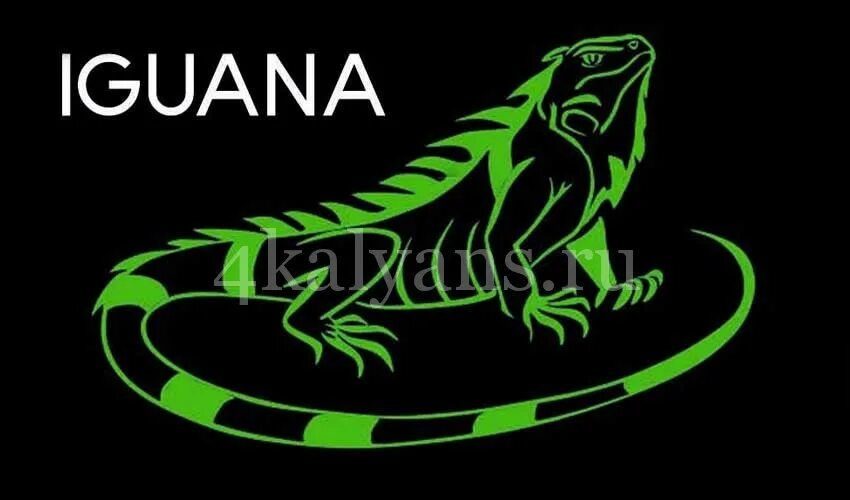 Игуана энергетики. Игуана логотип. Игуана табак. Iguana логотип GPG. Игуана Энергетик логотип.