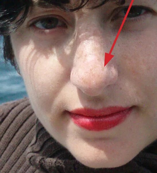 нос на пол лица