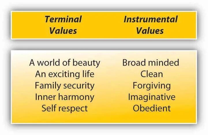 Terminal value. Terminal values and instrumental values. value instruments. rokeach value survey.