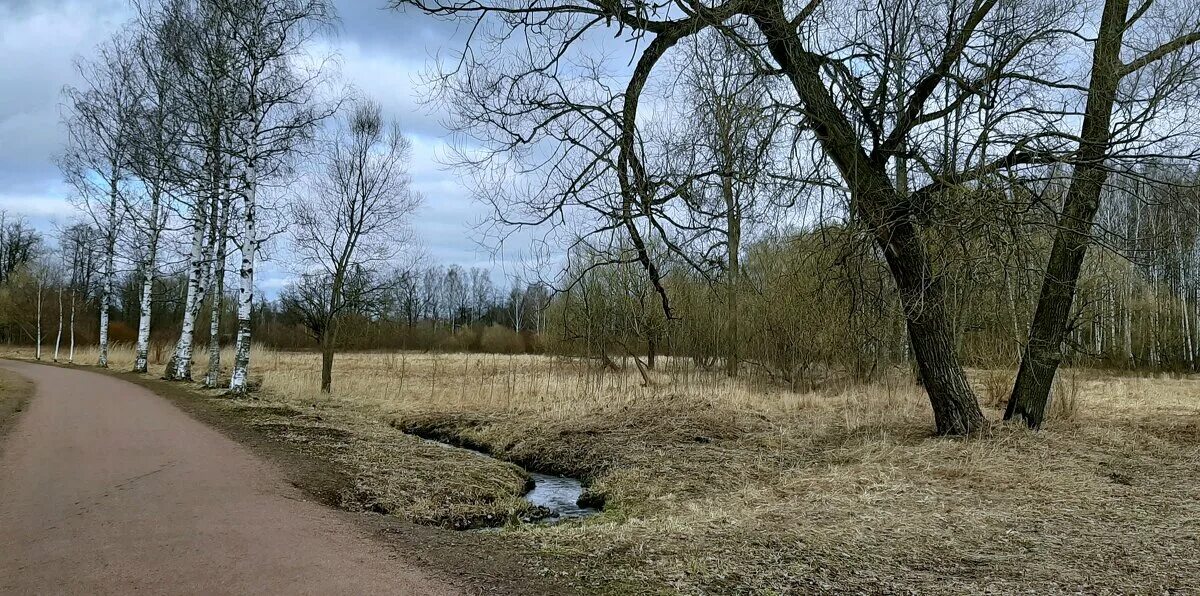 село апрель. холуй ивановская область. царское село в апреле. село апрель. царское село большой пруд.