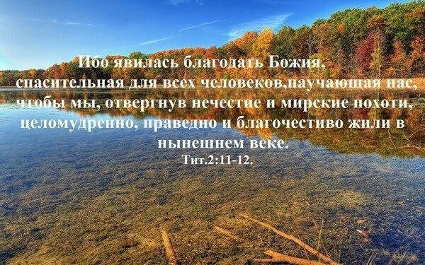 Ибо явилась Благодать Божия. Явилась Благодать Божия спасительная для всех человеков. Ибо явилась Благодать спасительная для всех человеков. Спасительная Благодать. Это божья благодать песня все мое родное