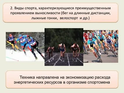 Какое физическое качество развивают лыжные гонки