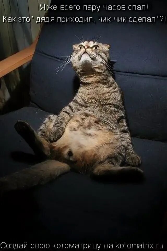 кастролог сцуко. уличить это значит. дядя приходил. Corruptor комиксы полиция. не пишите мне фигню придет дядя.