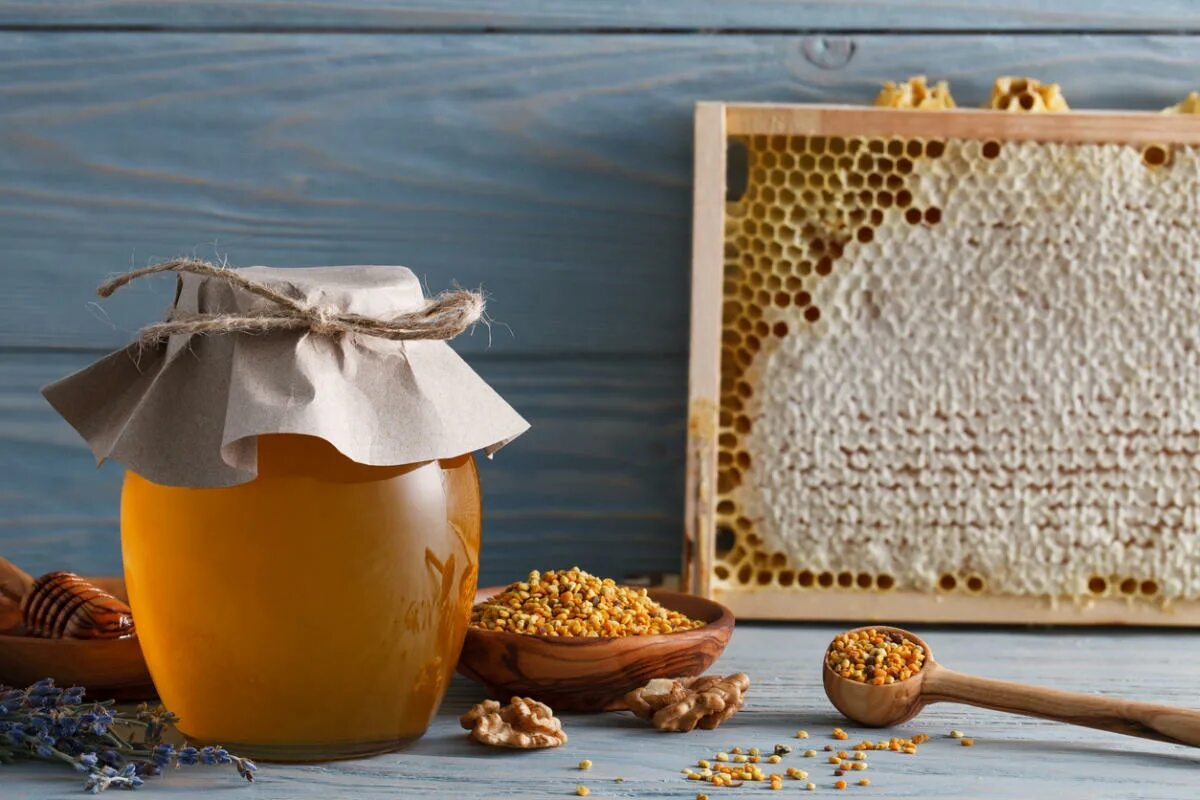 Мед и продукты пчеловодства. Мед. Рамка с сотами. Мёд и продукты пчеловодства. Пчелы и мед.