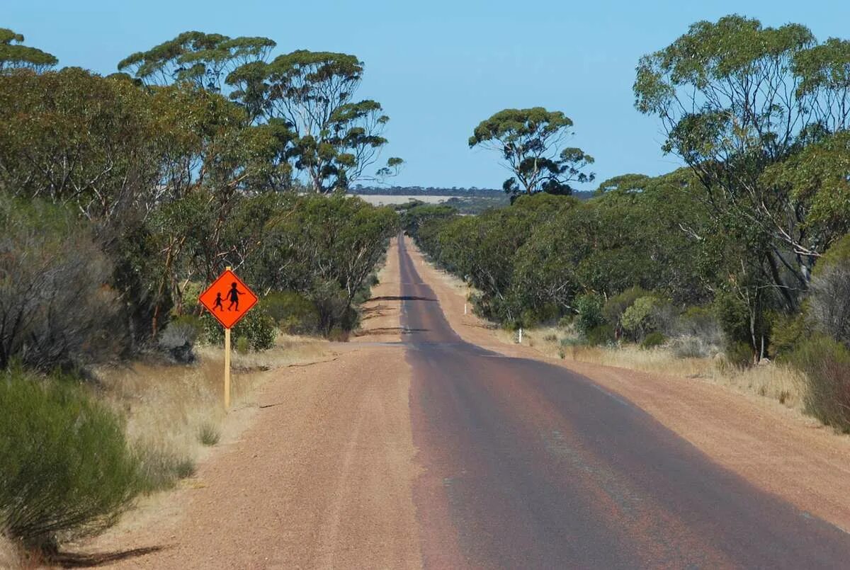 Грейт оушен роуд австралия. Австралийский буш. Australian roads. Шоссе эйр австралия. Дороги австралии.