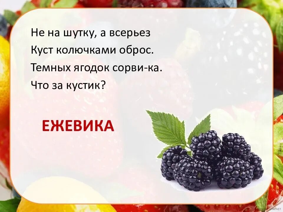 Лесные ягоды словами. Загадка про ежевику для детей. Загадки про ягоды. Загадки про ягоды для детей. Загадки про ягоды для дошкольников.