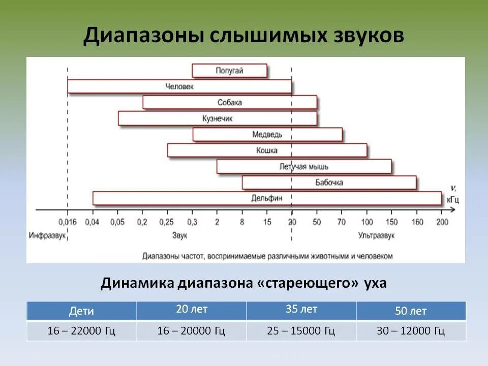 Человеческое ухо слышит в диапазоне. Диапазон частот звука. диапазон частот звука, в котором слышит человек:. диапазон слуха человека в гц. диапазон слышимых звуковых частот.