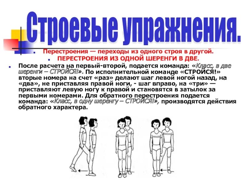 Строевые упражнения. Строевые упражнения на месте. Строевые упражнения в гимнастике. Строевые команды построения перестроения. Перестроение действия