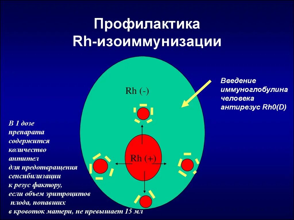 Профилактика резус сенсибилизации. Иммуноглобулин человека антирезус rh0 d. Изоиммунизация. Профилактика резус-изоиммунизации. Титр резус антитела