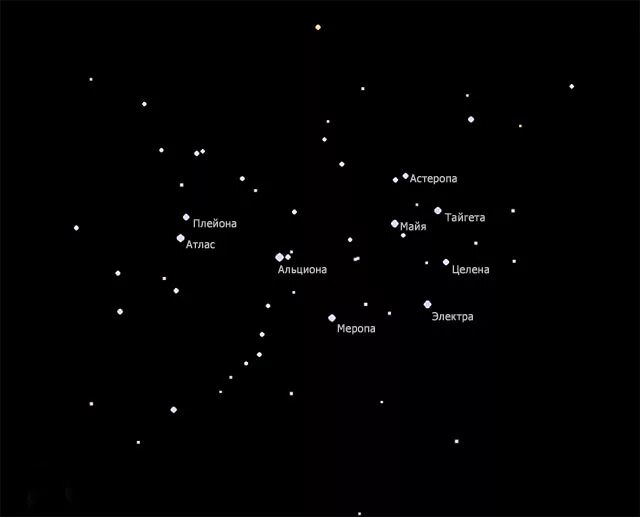 Созвездие альдебаран находится в созвездии. Звезда Альциона созвездия Плеяд. Созвездие Плеяды на карте звездного неба. Плеяды в созвездии тельца. Созвездие Ориона и Плеяды.