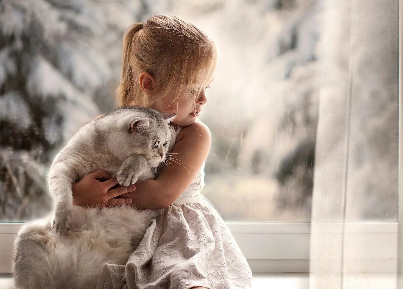 Дети красота жизни. Девочка с котятами. Для детей. Животные. Котёнок-ребёнок.