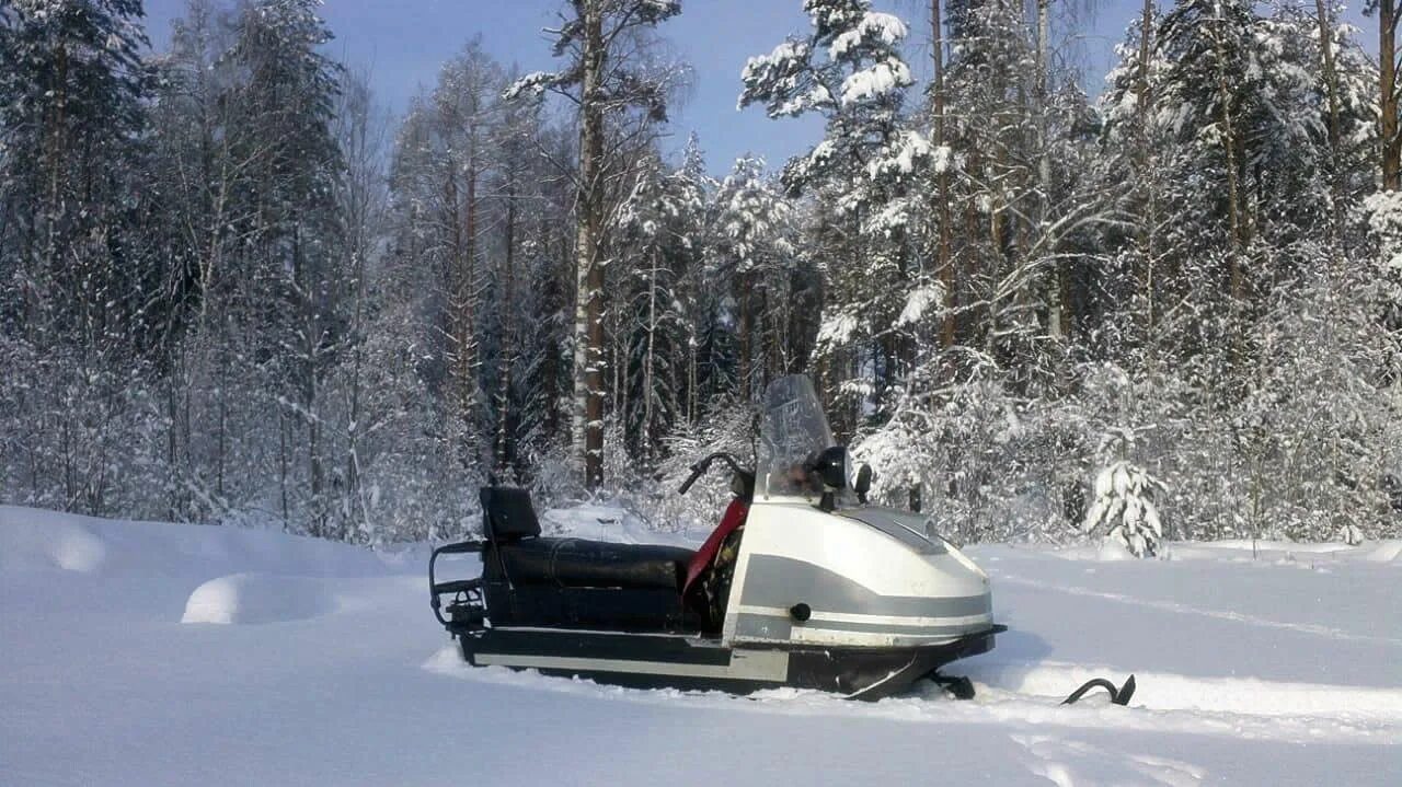 Алтайский край буран. Буран зимний. Буран в лесу. Буран зимой. Автомобиль  зимний Буран.