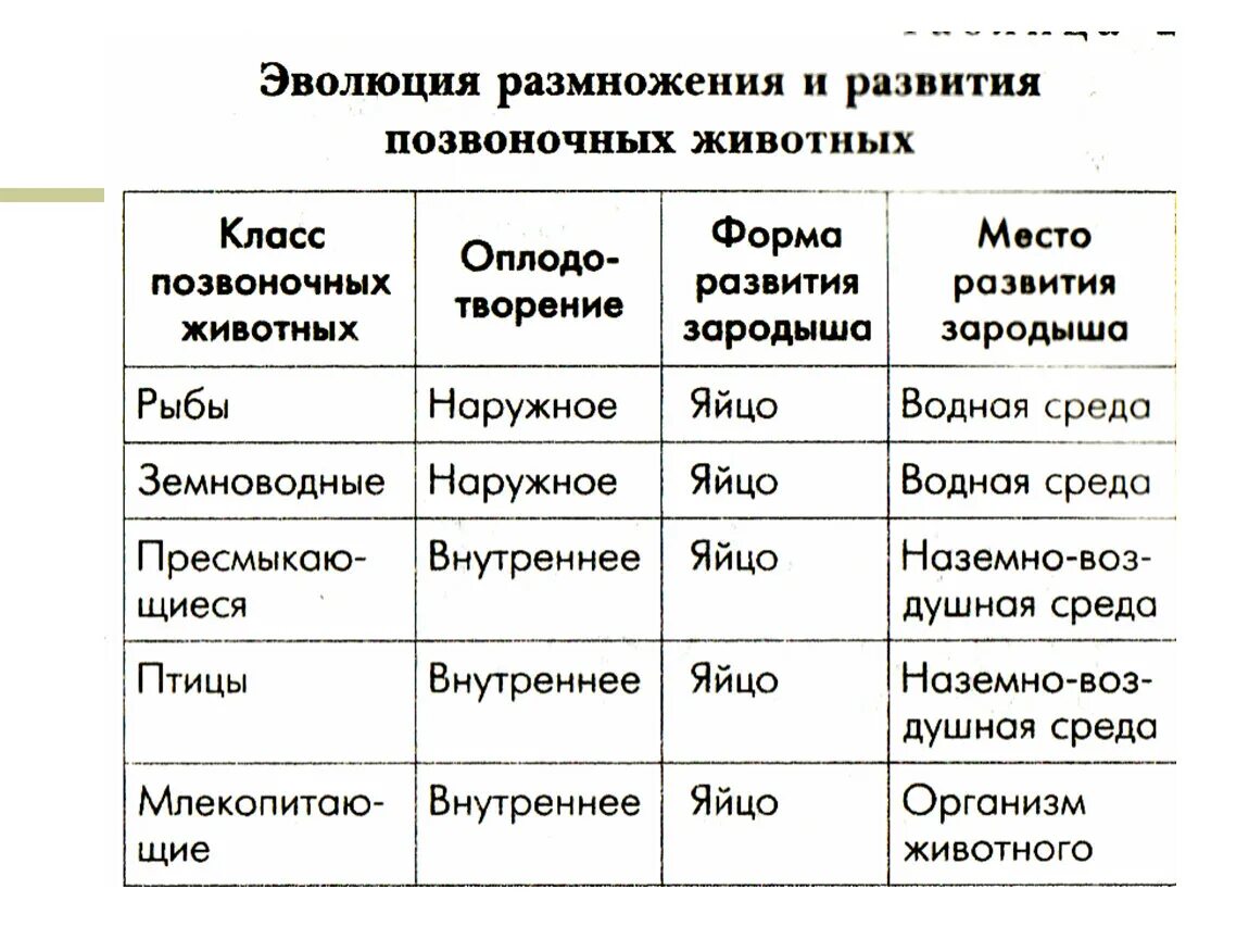 Сравните особенности размножения и развития позвоночных животных. Половая система позвоночных таблица. Особенности строения размножения животных. Способы размножения животных оплодотворение 7 класс таблица. Органы размножение всех классов.