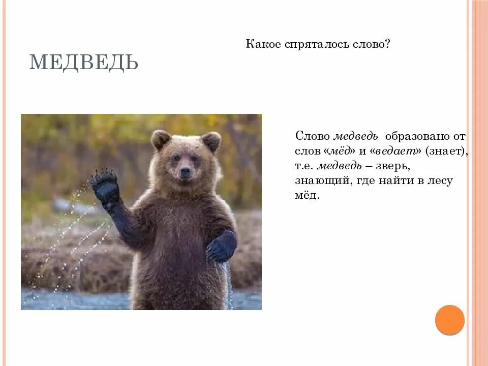 Медведь какой слова признаки. Слово медведь. Предложение про медведя. Происхождение слова медведь. Текст про медведя.