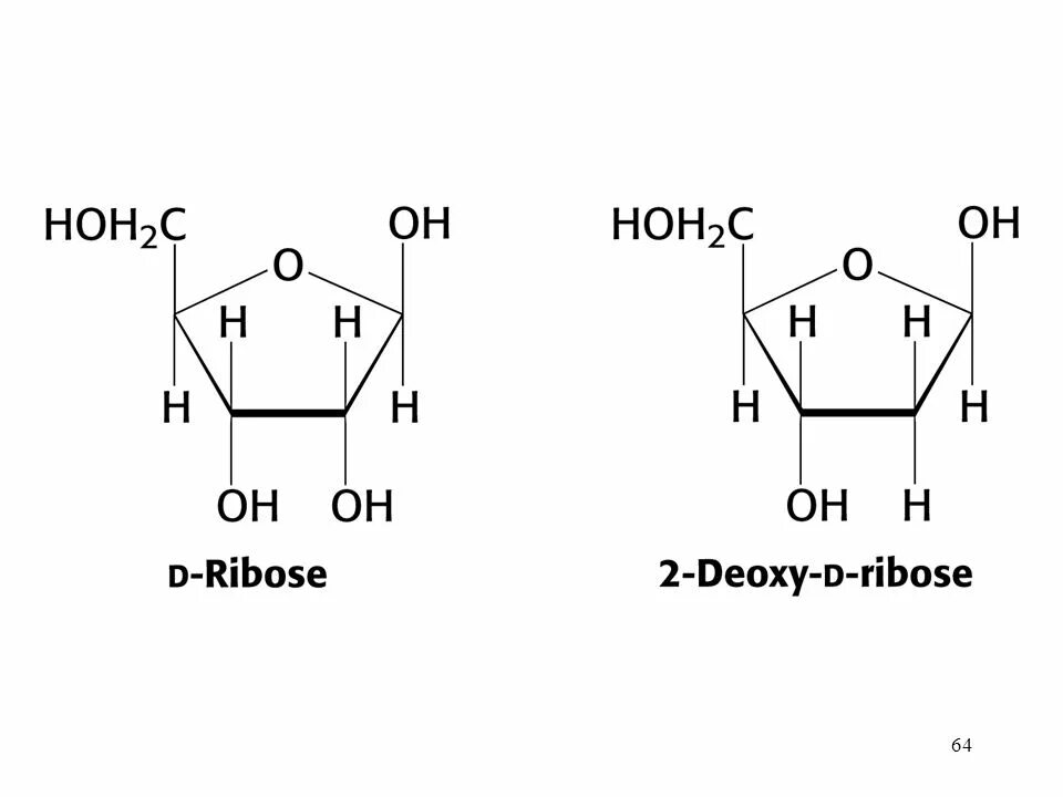 Рибоза класс соединений. Д рибоза формула. Бета д рибоза. Бета д рибоза формула. Рибоза циклическая формула.