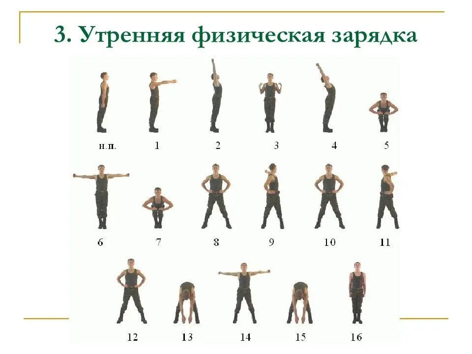 Насколько зарядка. НФП комплекс вольных упражнений. Утренняя физическая зарядка. Комплекс зарядки. Комплекс упражнений для зарядки.