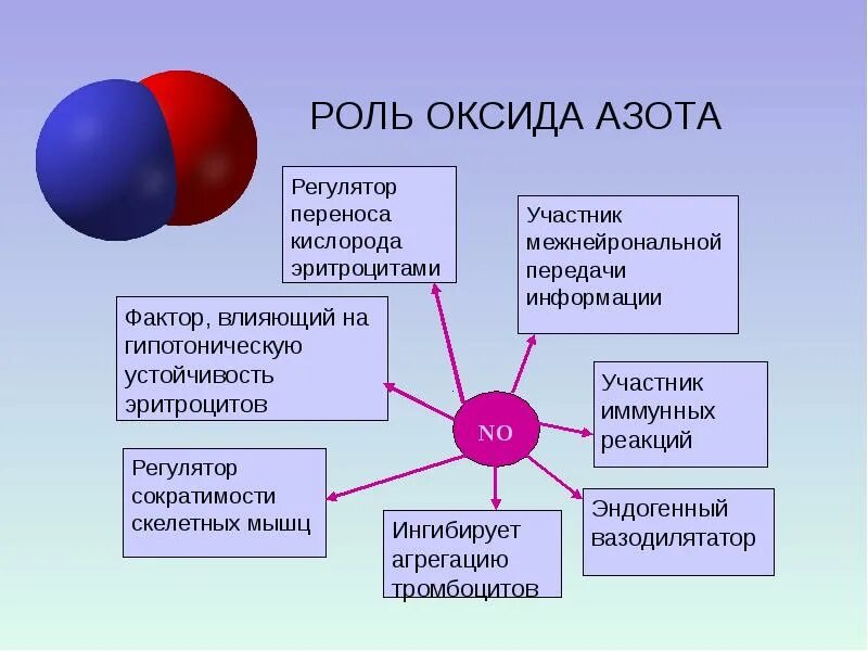 Роль оксида азота. Роль оксида азота в организме человека. Окись азота влияние на организм. Эффекты оксида азота. Азот в составе живых организмов