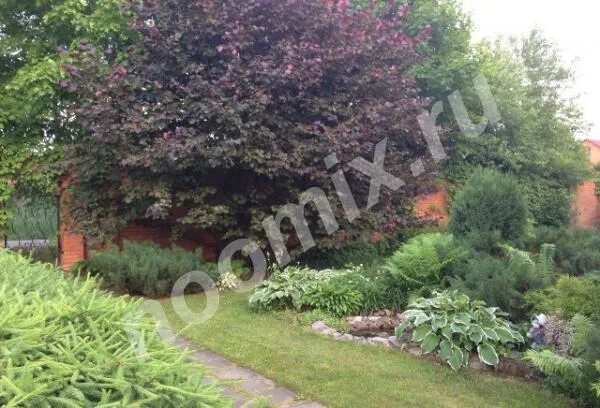 Amazing 44 Amazing Frontyard Privacy Design with Plant http://decoraiso.com/inde