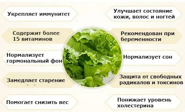 Какие витамины содержатся в салате