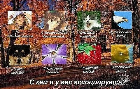 Эта странная сладкая жизнь
