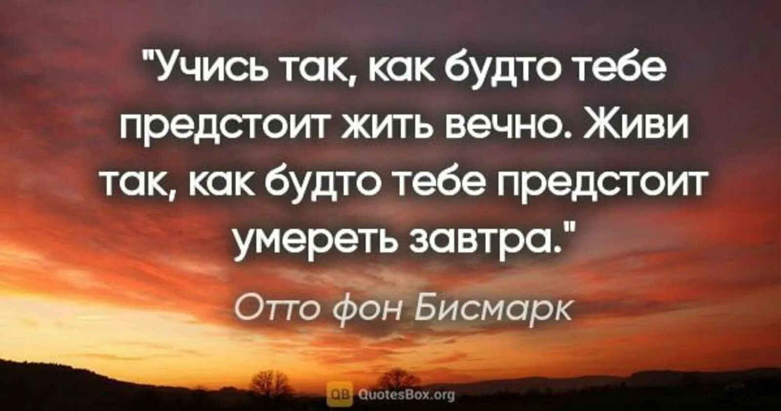 В котором ему предстоит жить. Учись так как будто будешь жить вечно. учись так будто тебе предстоит жить вечно. живи так будто ты уже мертв. живи так отто.