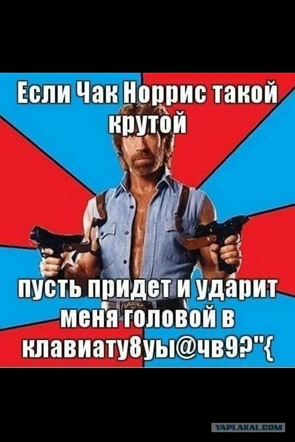 Чак норрис с днем рождения. Galibri - mavik - чак норрис обложка. Чак норрис поздравляет. Чак норрис приколы. Чак норрис galibri & mavik.