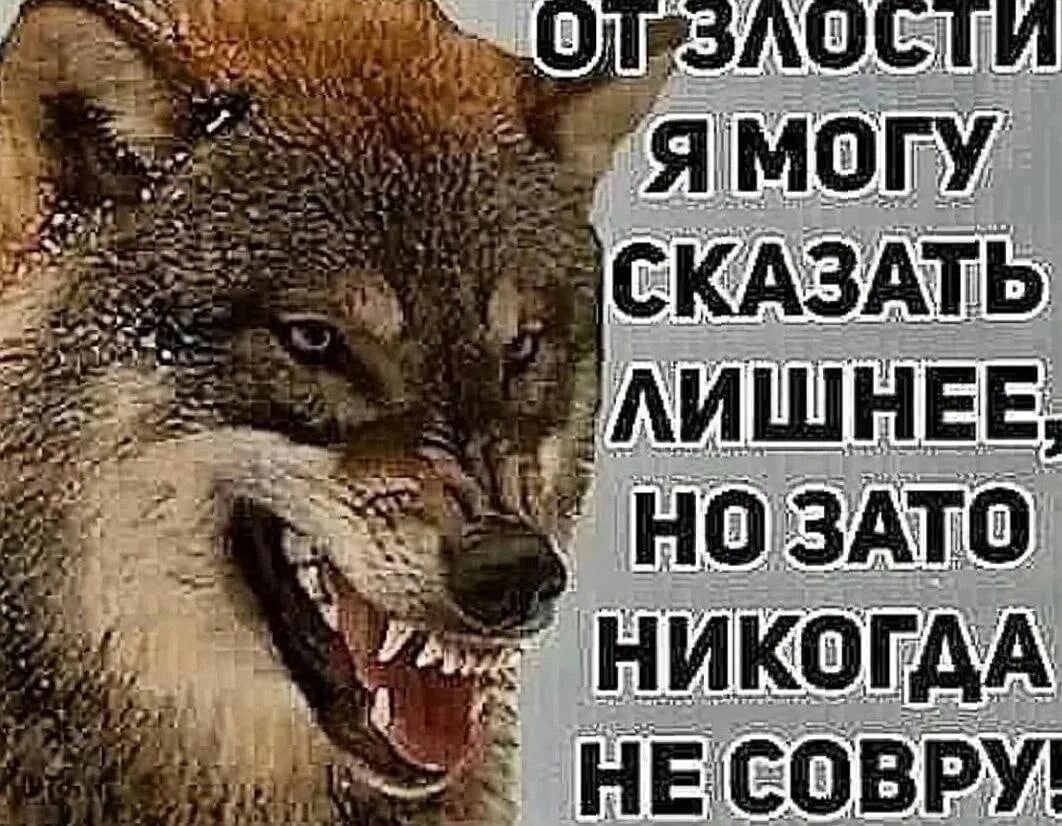 Нет врем ни. От злости я могу сказать много лишнего. В порыве злости. Я В злости. Я злюсь!.