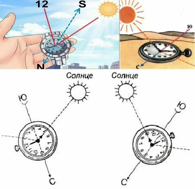 Ориентирование по солнцу и часам. Ориентирование сторон света по солнцу и часам. Ориентирование с помощью часов и солнца.
