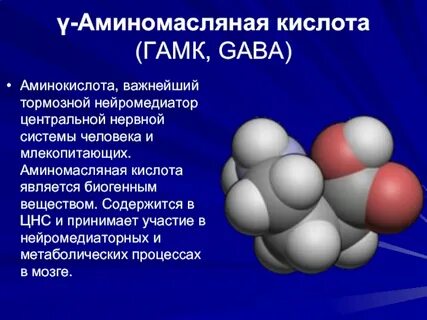 Аминомасляная кислота