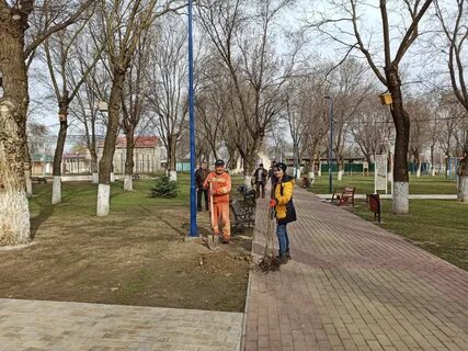 В парке росло 40 берез