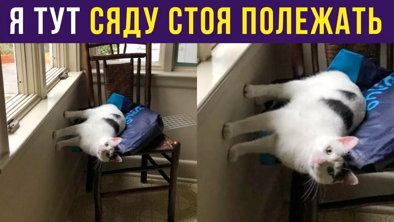 Стоя полежу. Сел стоя полежать. Сяду стоя полежать. Сидя стоя полежу. Присел постоять