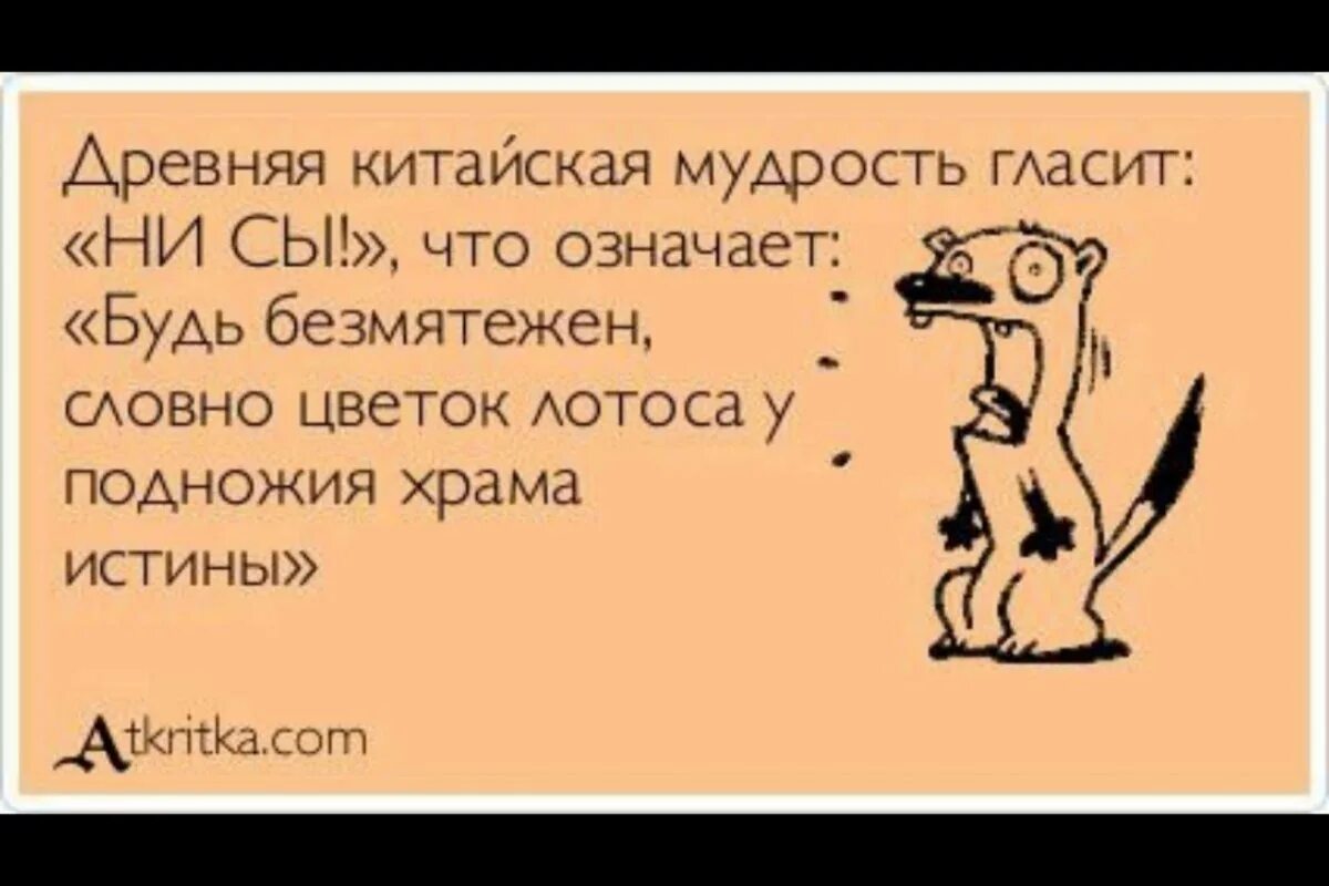 Новый год в лесу atkritka. Если что делать что будет. Британские ученые выяснили. Мужчина оптимист юмор.