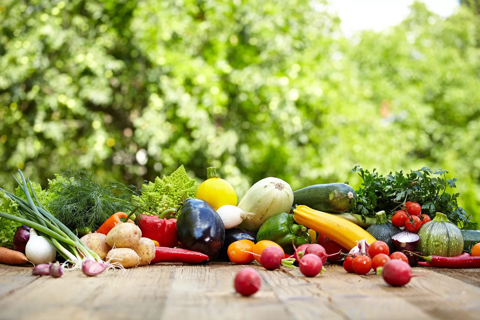 Зима лето фрукты овощи. Летние овощи. Овощи на природе. Овощи на огороде. Овощи на столе.