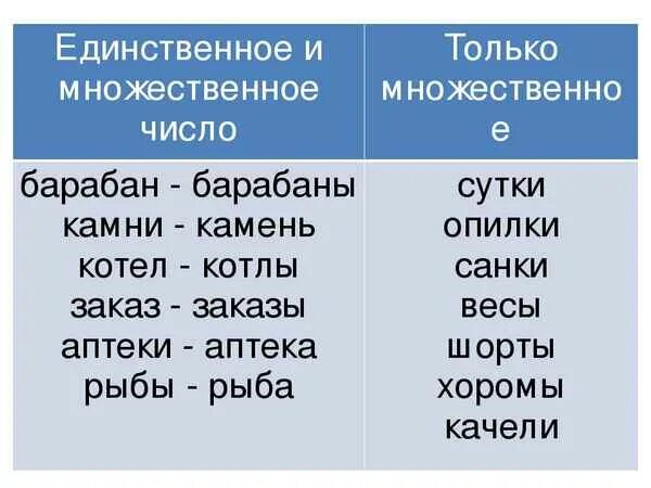 Определить единственное и множественное число существительных. Единственное и множественное число. Слова во множественном числе. Слова в единственном и множественном числе. Единственное число и множественное число.