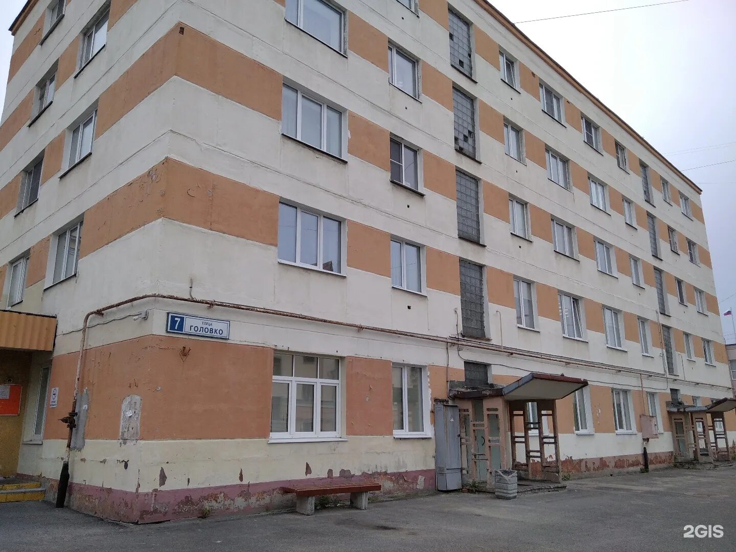 Лайка улыбается. Североморск магазин арктический. Улыбка североморск. Умный сервис североморск. Улыбка североморск.