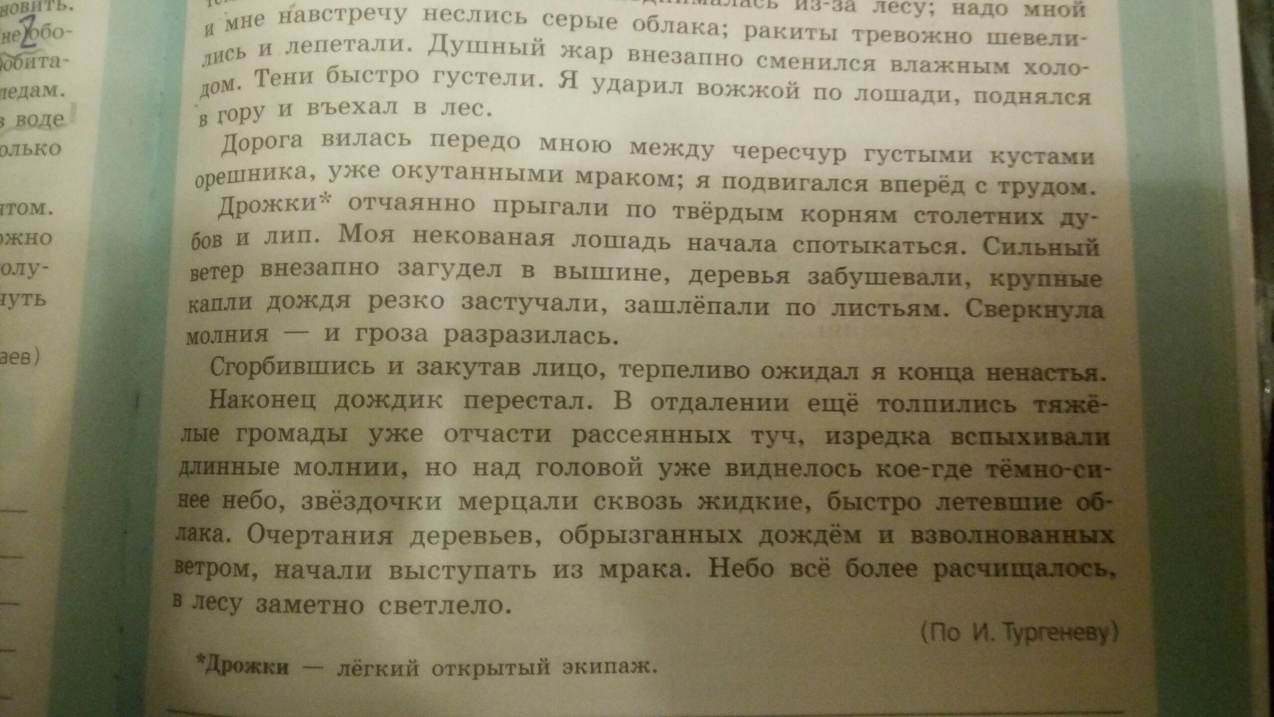 Сильный ветер загудел в вышине деревья забушевали