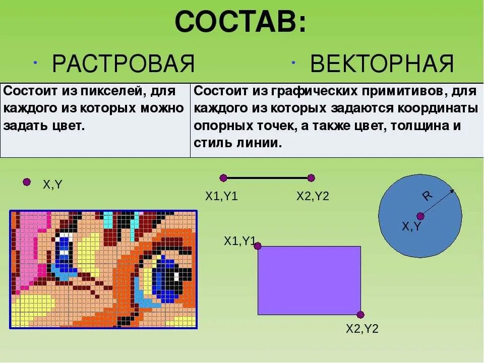 Из каких элементов состоит векторная графика. Растровая графика. растровая и векторная графика. изображение в растровой графике. растровая графика и векторная графика.