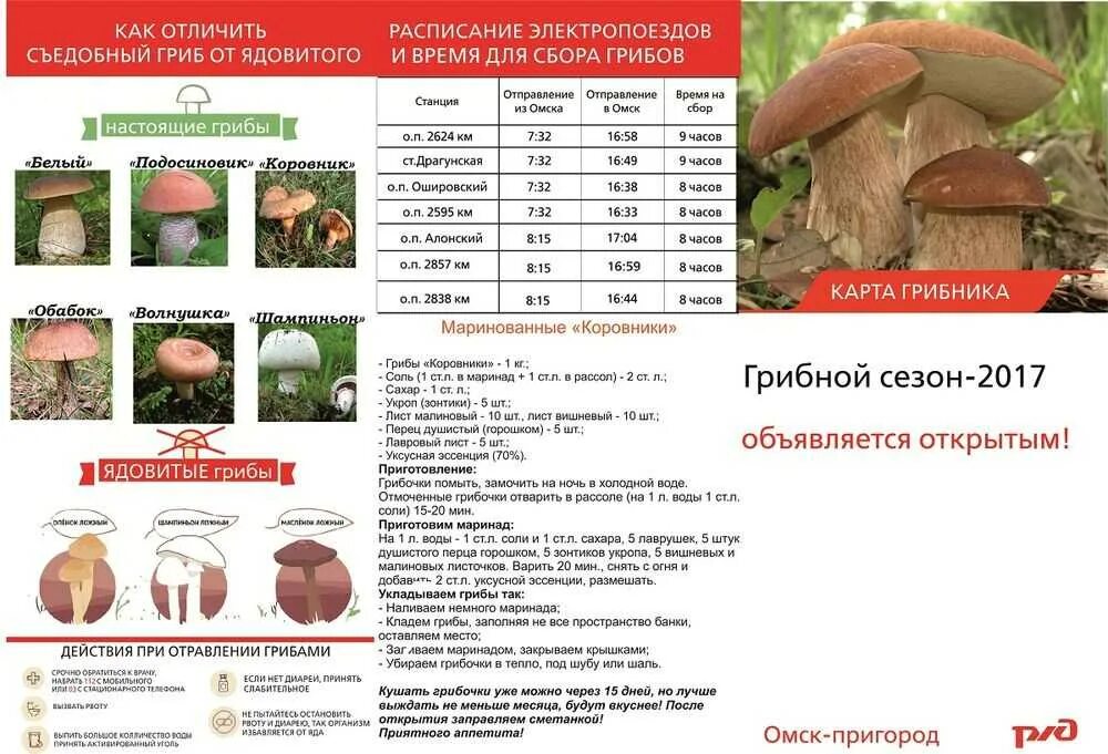 Как отличить пищевую. Как отличить съедобные грибы от несъедобных грибов. Таблица ядовитых и съедобных грибов двойники съедобных. Как можно отличить съедобные грибы от ядовитых грибов. Как отличить съедобные грибы от несъедобных 5 класс биология.