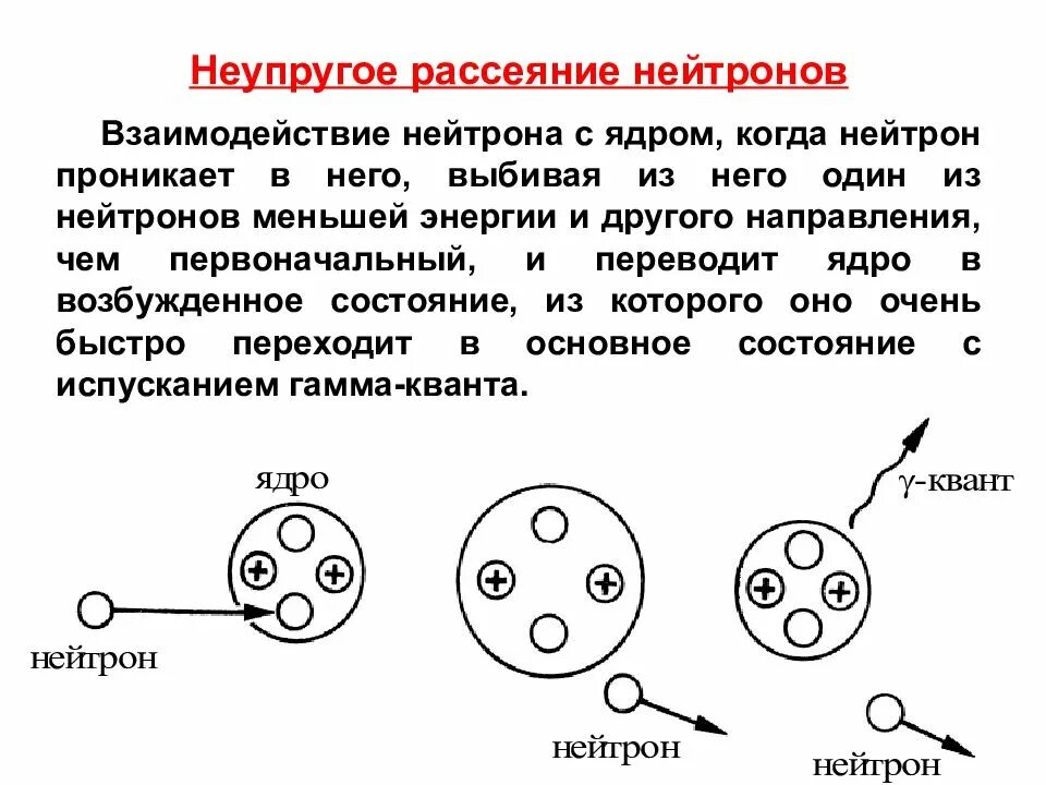 Неупругое столкновение нейтронов. Сечение взаимодействия нейтронов с ядрами. Неупругое рассеяние нейтронов. Упругое и неупругое взаимодействие нейтронов. Общее и различие между протоном и нейтроном