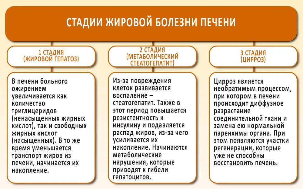 Гепатит б стадии развития. Осложнения гепатита а. Стадии вирусного гепатита